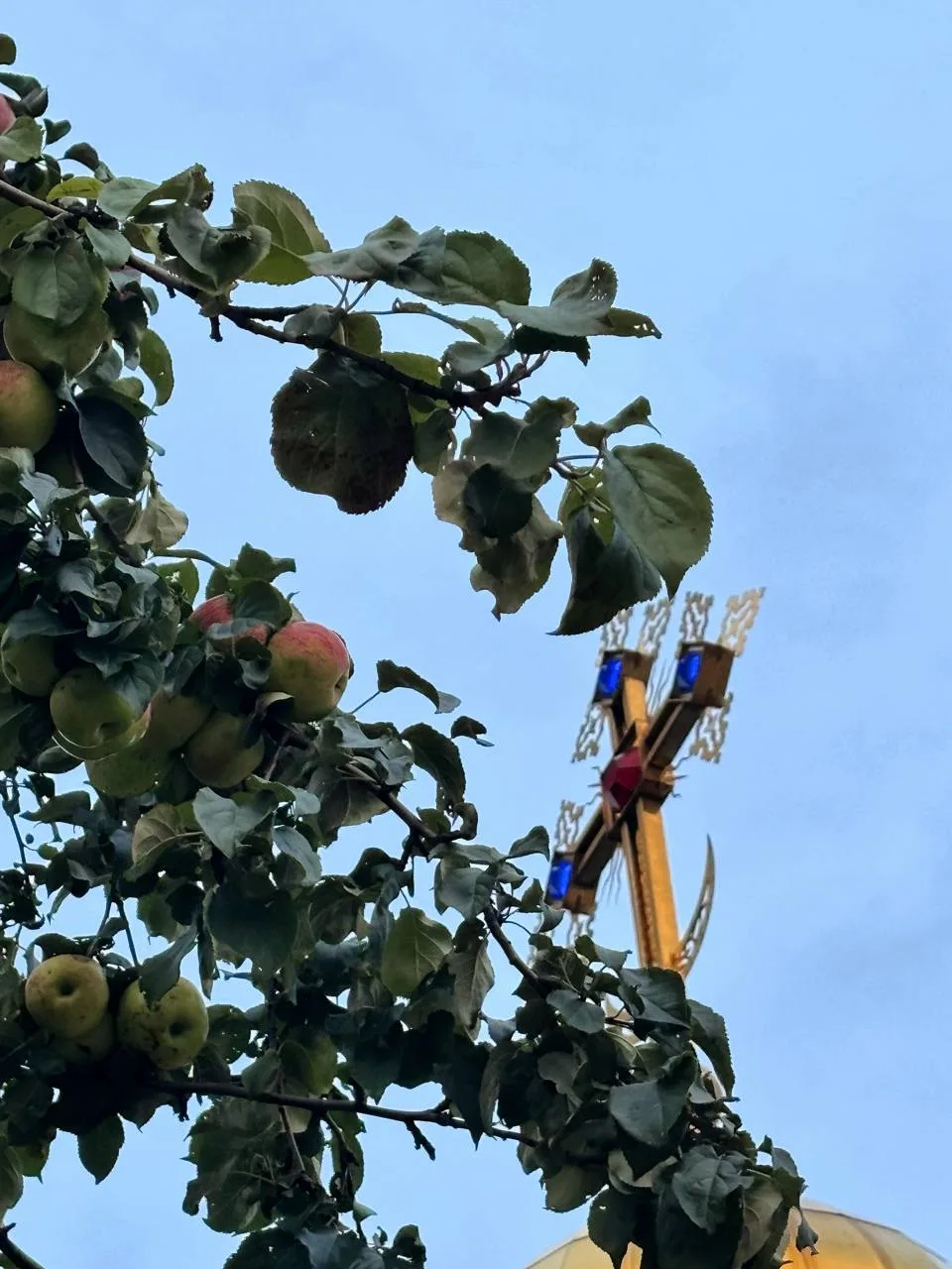 🍎 С Яблочным Спасом!