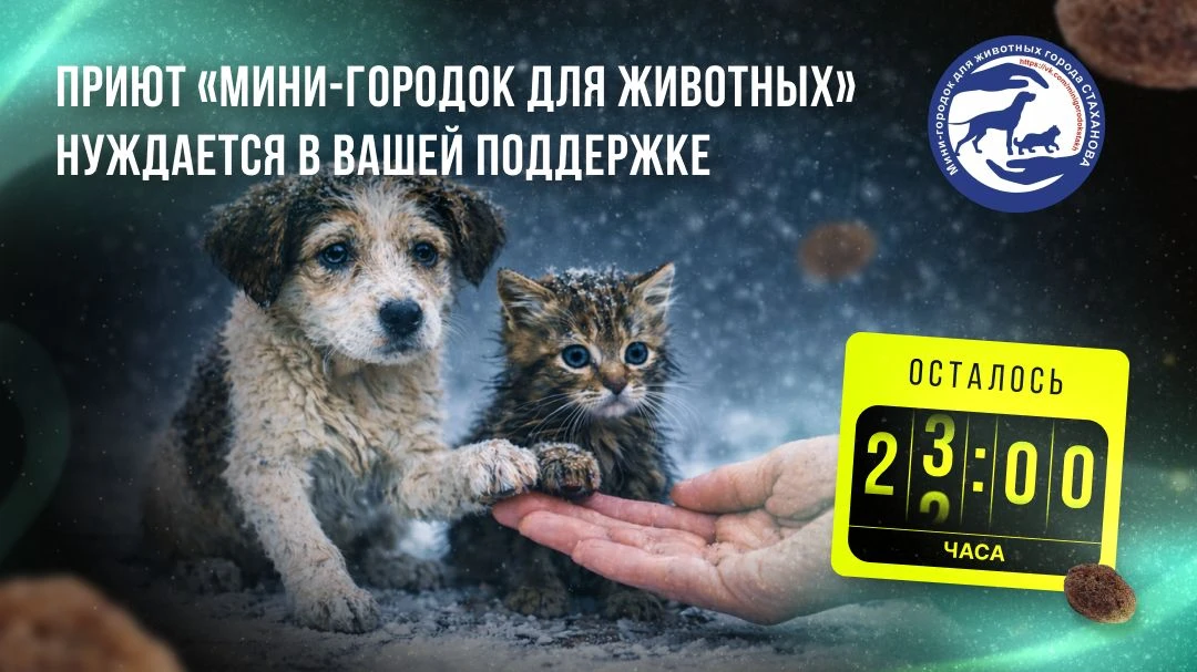 ‼️ Через 7 часов заканчивается «корзина помощи» для приюта Мини-городок для животных  Наш приют нахо