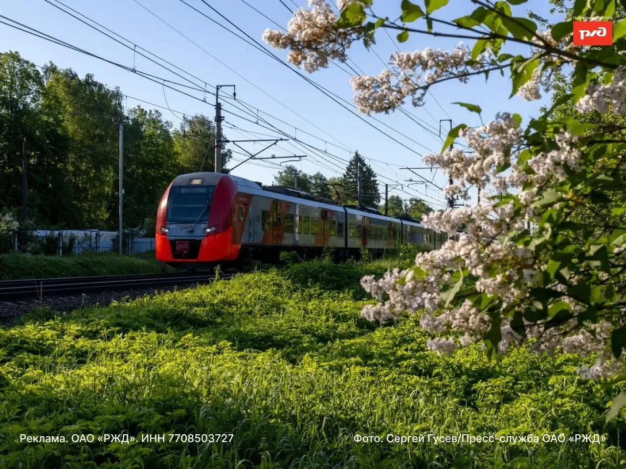📌Проходящие поезда на перегоне Березки - Подсолнечная (Октябрьская железная дорога) Пассажирский по