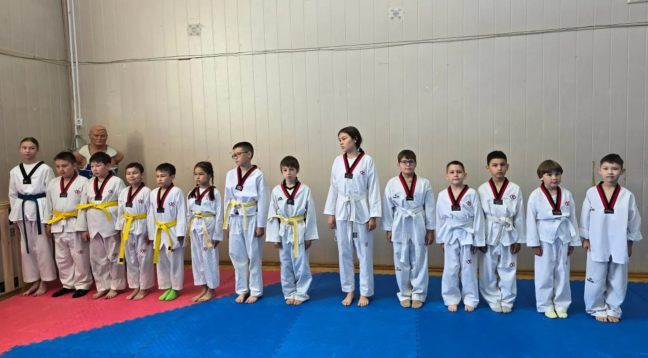 🥋Аттестация на цветные пояса по тхэквондо 🥋
