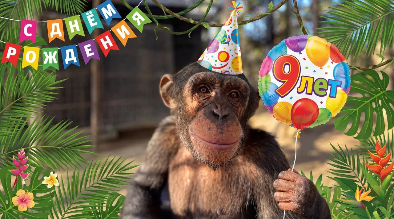 🥳 Сегодня особенный день - нашему Оскару исполняется 9 лет! 🎂💚