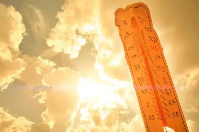 🥵 Жара задержится: всю следующую неделю в Орловской области будет выше +30°C.

☀️ Синоптики прогноз