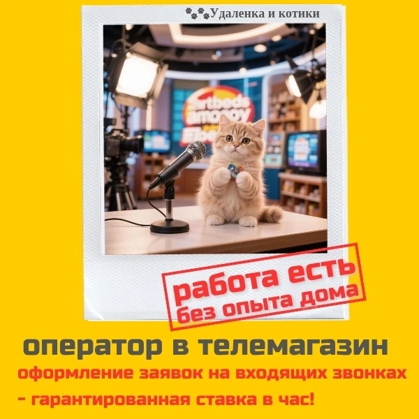 Ищем операторов в телемагазин (магазин на диване)