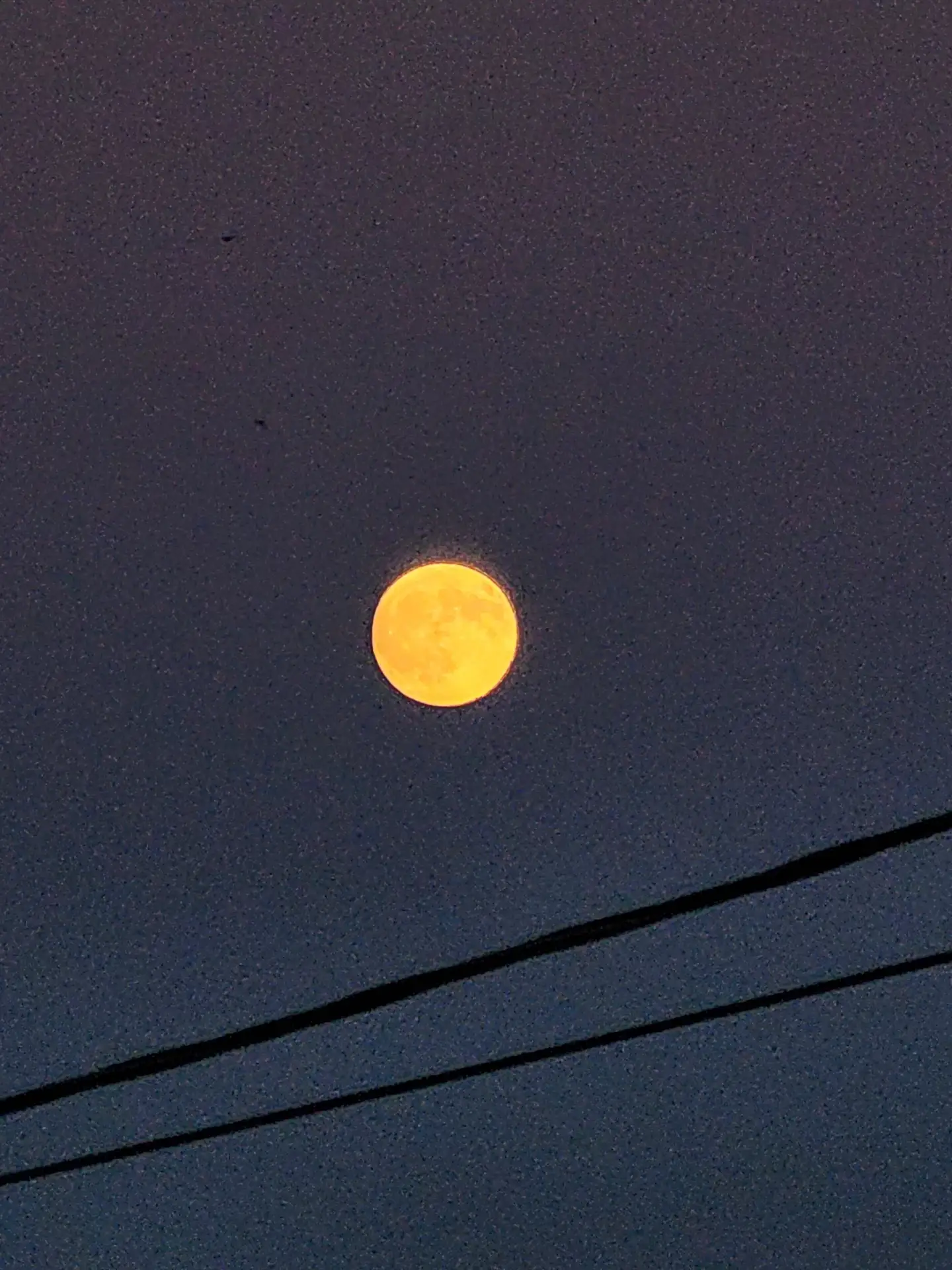 🌕 Жители Владивостока и Приморья завтра смогут наблюдать в небе так называемую «Осетро...