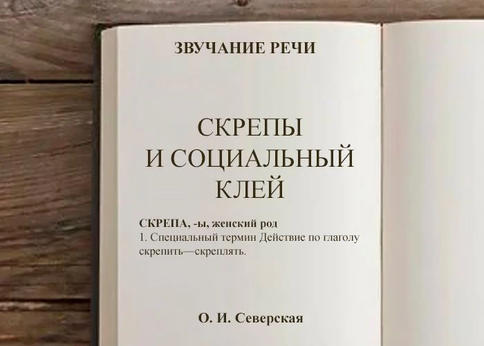 В любом обществе действуют силы, удерживающие людей вместе. Социологи называют их «соци...