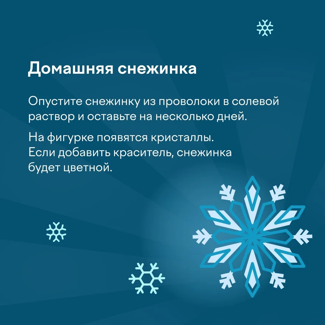 🧑‍🔬 Олимпиада «Наука вокруг нас» помогает дошкольникам и ученикам 1–11 классов лучше понять окружающ