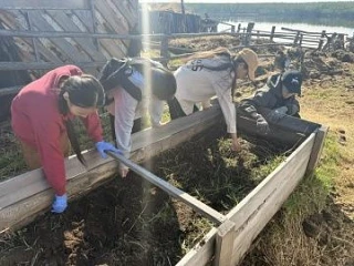 Трудовое воспитание: от теории к практике!
В современном мире особенно важно не только давать знания