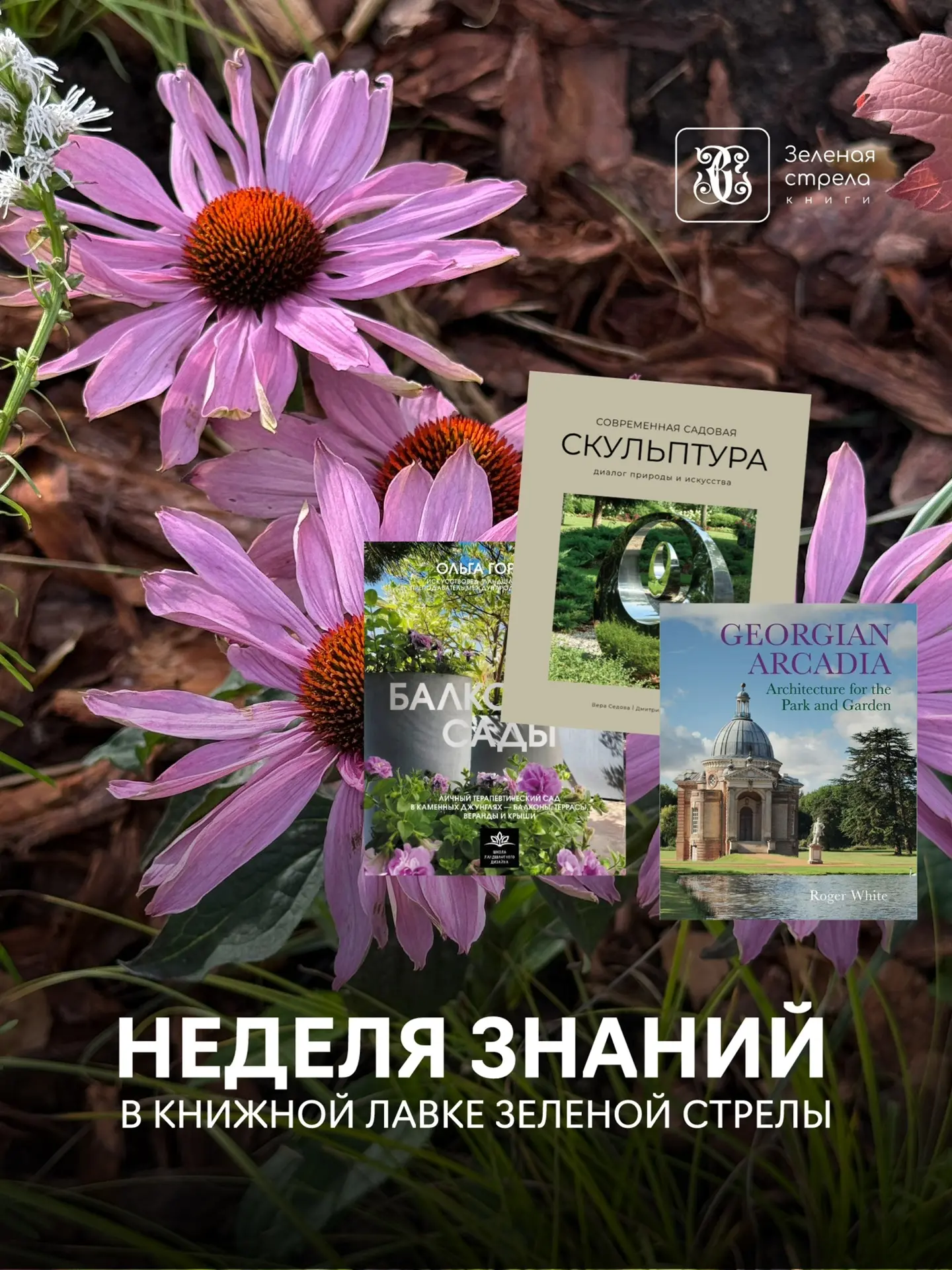 В книжной лавке «Зелёная стрела» стартовала «Неделя знаний»