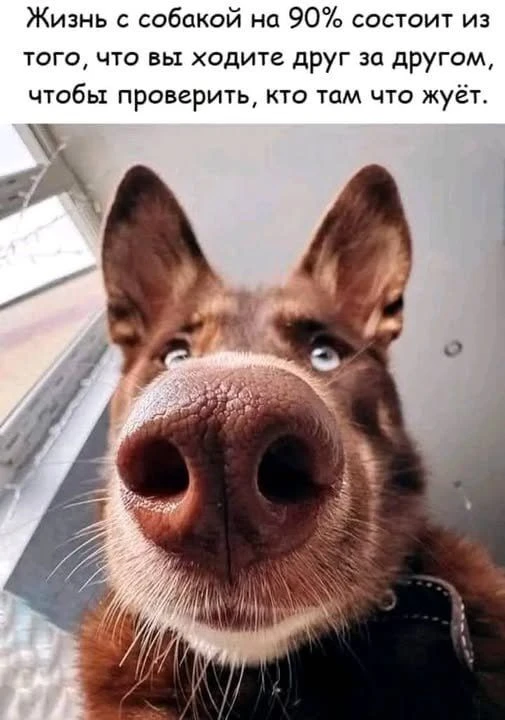 ОТКРЫТКИ С ЛЮБОВЬЮ ❤️