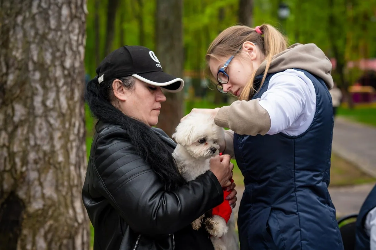🐕Завтра в Раменском парке будет работать мобильный ветеринарный пункт