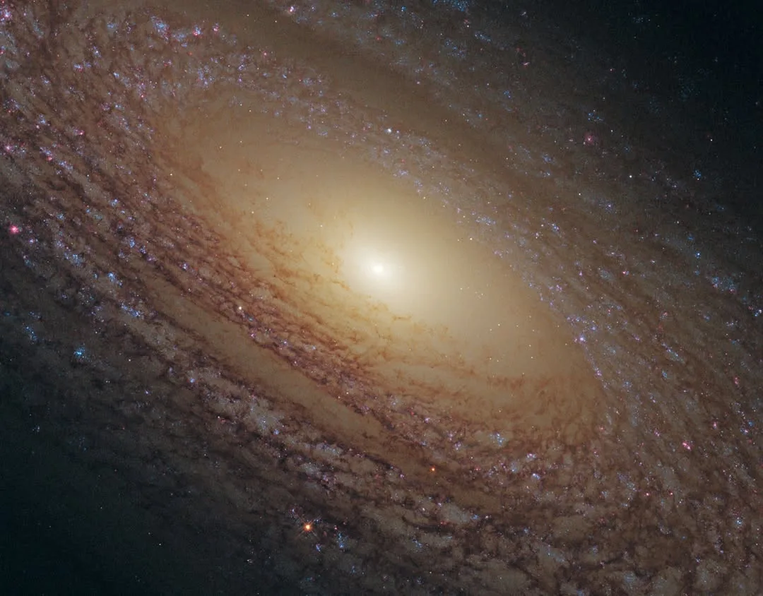 Галактика NGC 2841 имеет относительно низкую скорость звездообразования по сравнению с другими спира