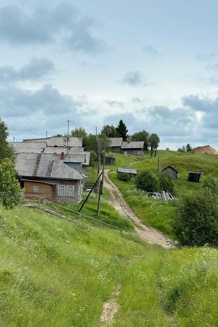 Лето в деревне