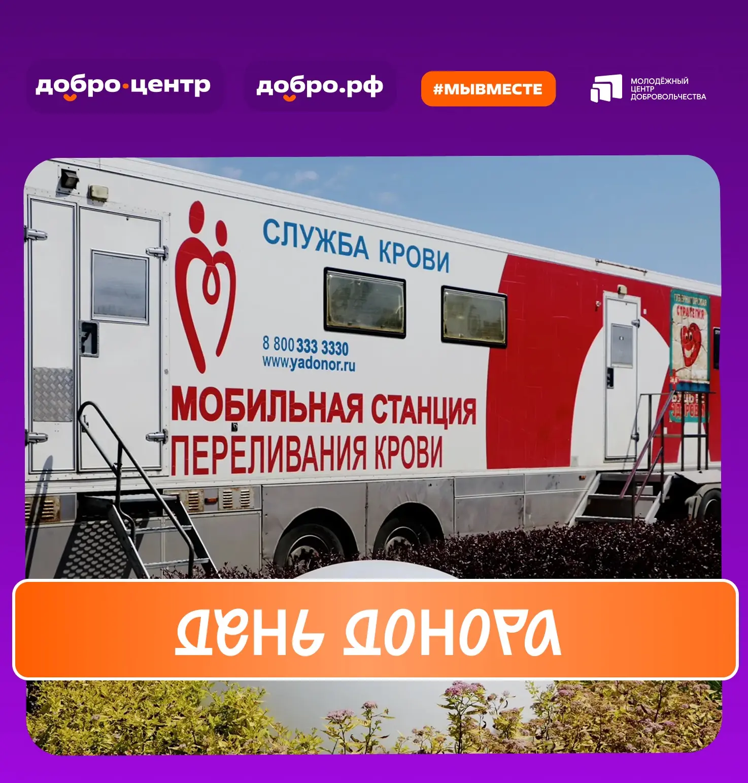 Кто на Кубани спасает жизни наравне с врачами? 🧡

Во Всемирный день донора крови десятки активистов