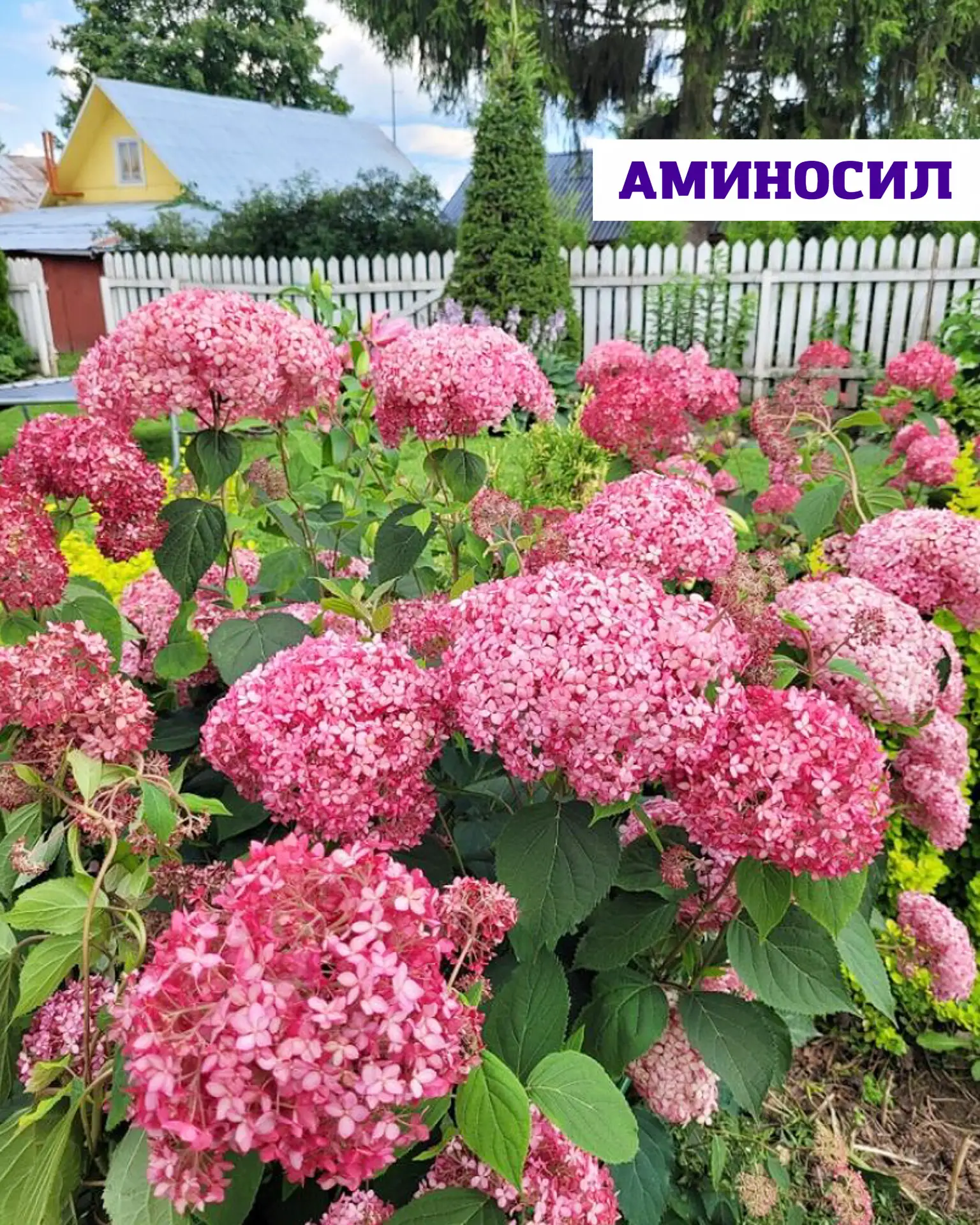 Тень в саду — это не минус, а возможность создать особенное, уютное пространство 💚  Если на участке 