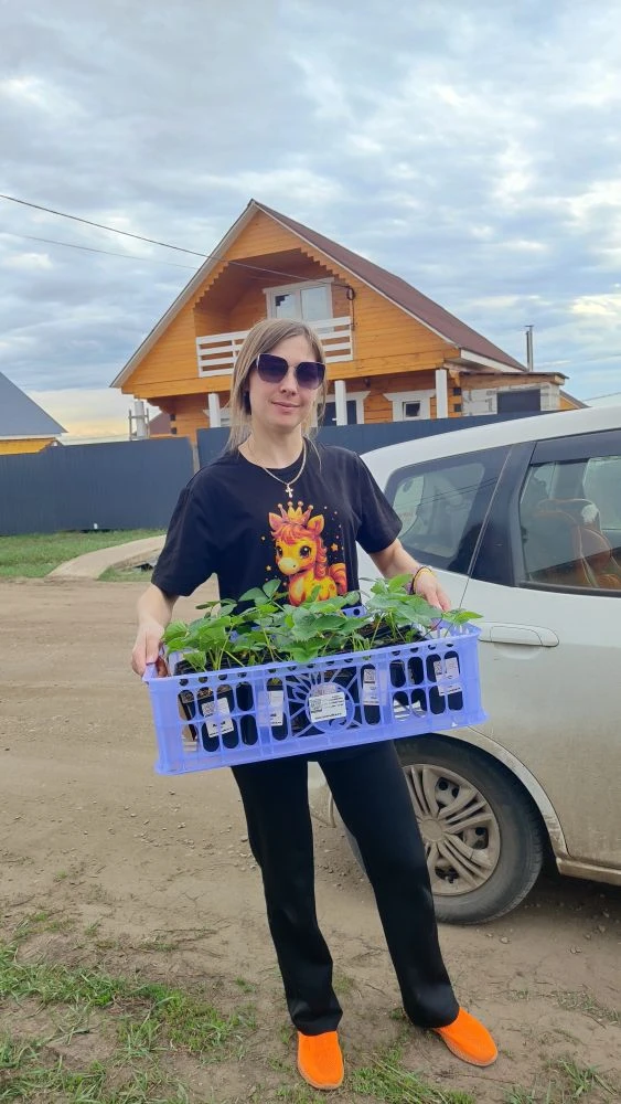 Вчера начали выдачу клубничной рассады. Девочки-умнички уже высадили свои кустики 🌱