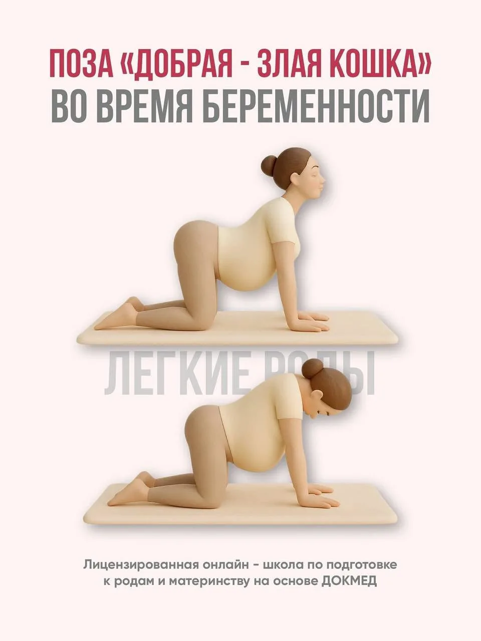 🐾 Упражнение «ДОБРАЯ-ЗЛАЯ КОШКА» для беременных