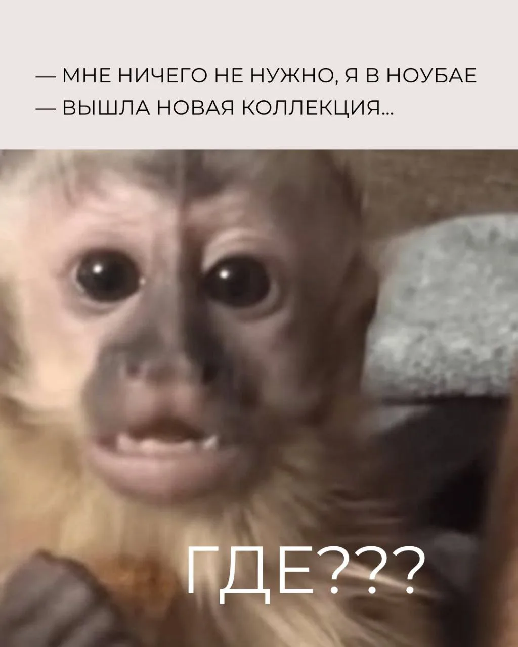 Одни здесь финансово грамотные отдыхаете?