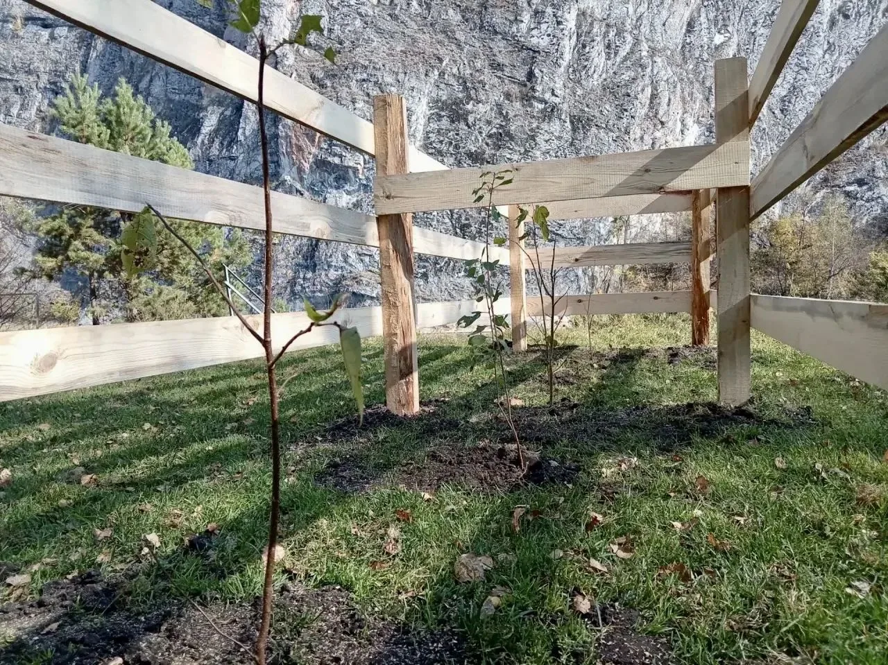 🌳 В кемпинге «Антонова скала» появилась новая аллея 🌳