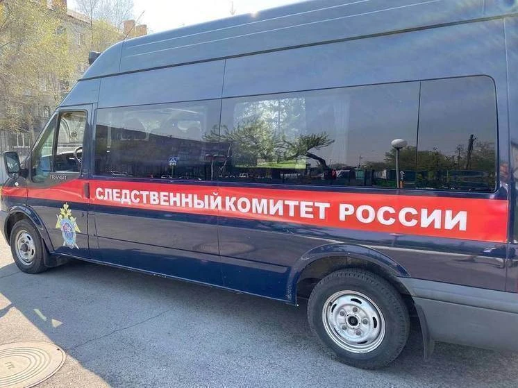 Житель Барнаула ответит в суде за пропаганду терроризма в соцсетях