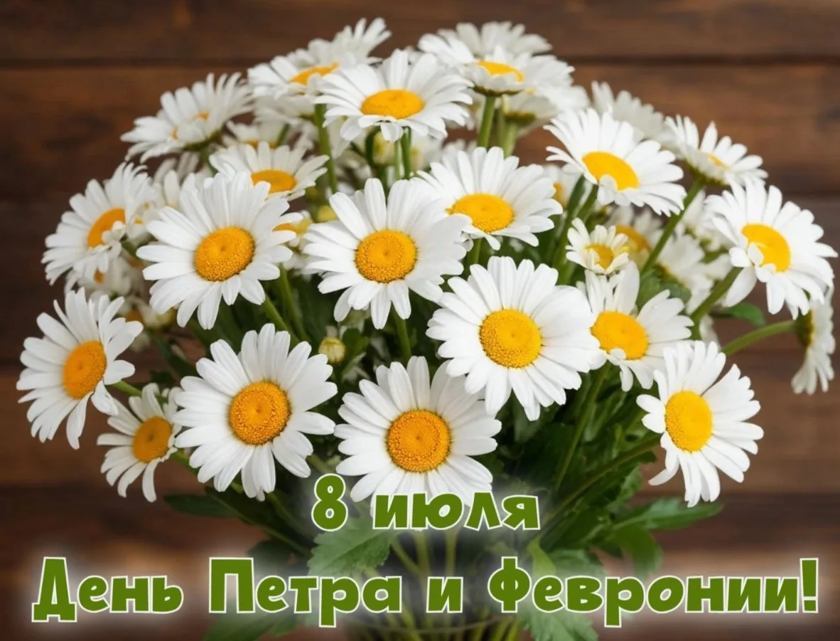 Ромашки белые России,