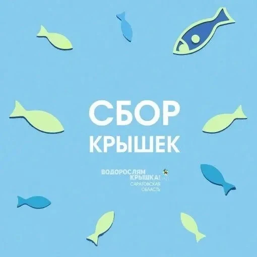 ♻️«Водорослям — крышка!»: стартовал одиннадцатый сезон экопроекта.