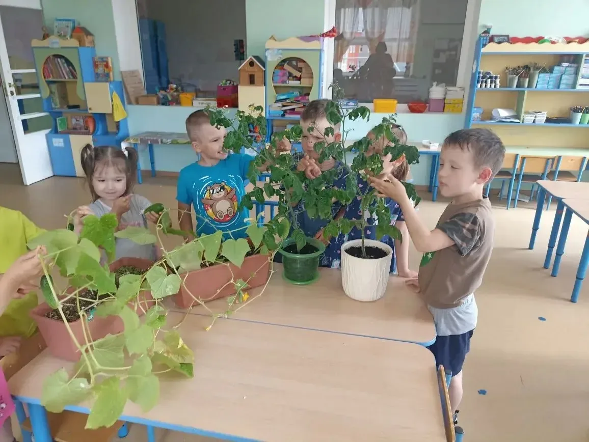 🌱🍅🥒 Наши первые овощи — гордость группы № 8! 🌱🍅🥒

Воспитатель Елена Владимировна вместе с ребя