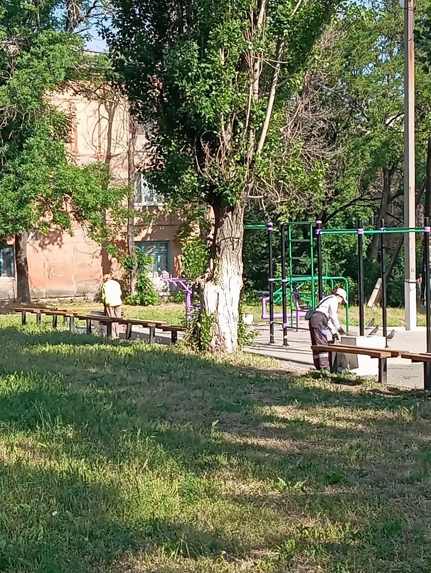 Уборка урн и сбор случайного мусора в газонах в местах общего пользования