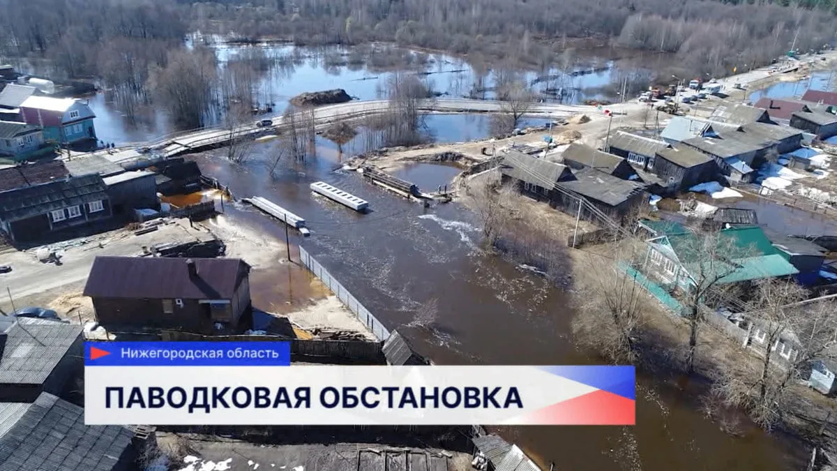 Нижегородские аптеки и магазины предупредили о недопустимости роста цен из-за паводков⚡️  ФАС поручи