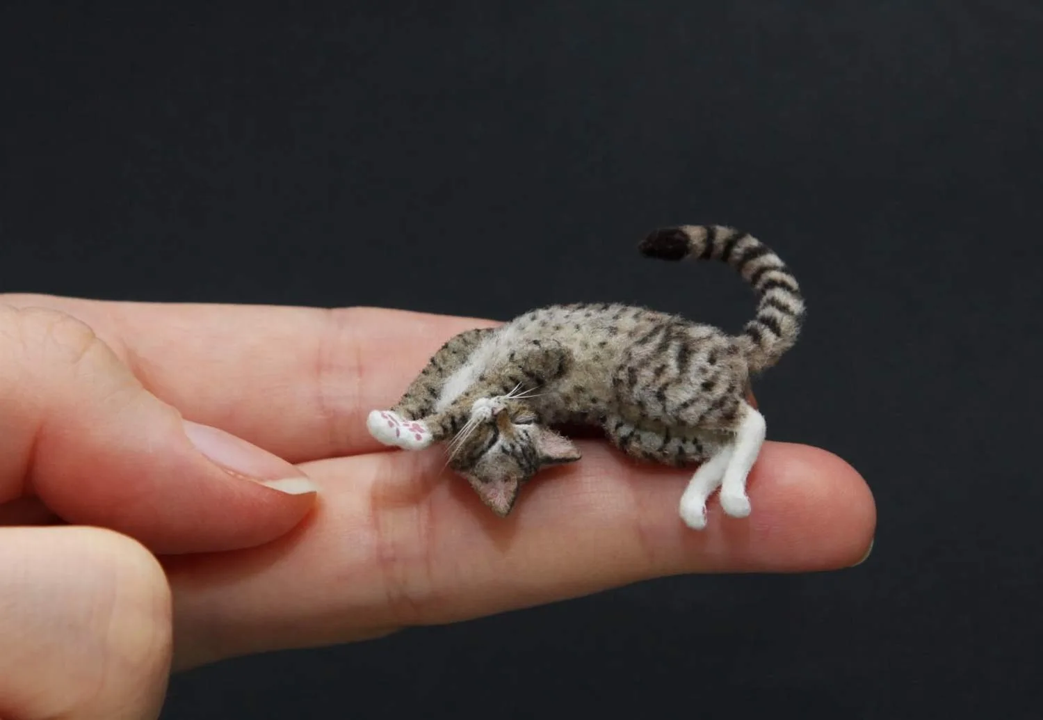 Котики