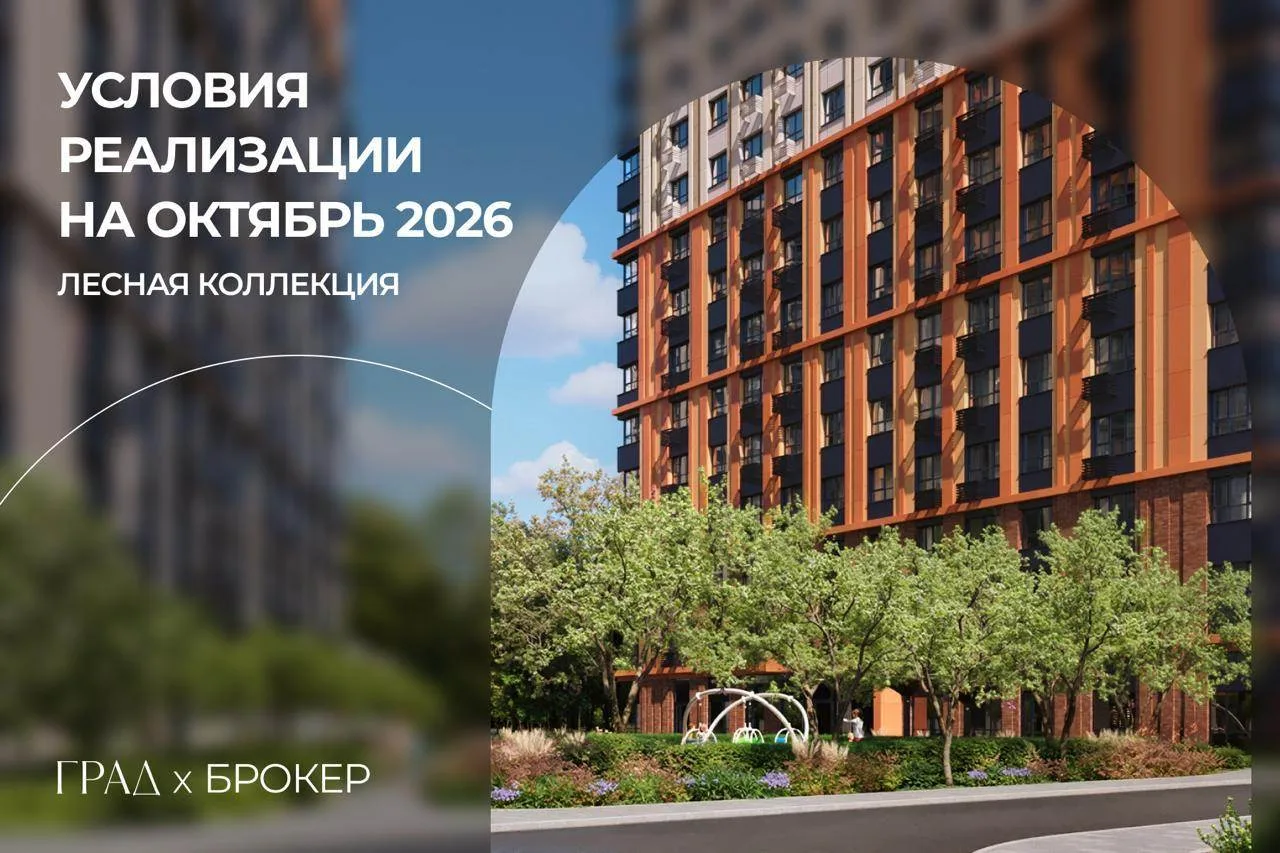 Условия реализации проекта ЛЕСНАЯ КОЛЛЕКЦИЯ в октябре 2026