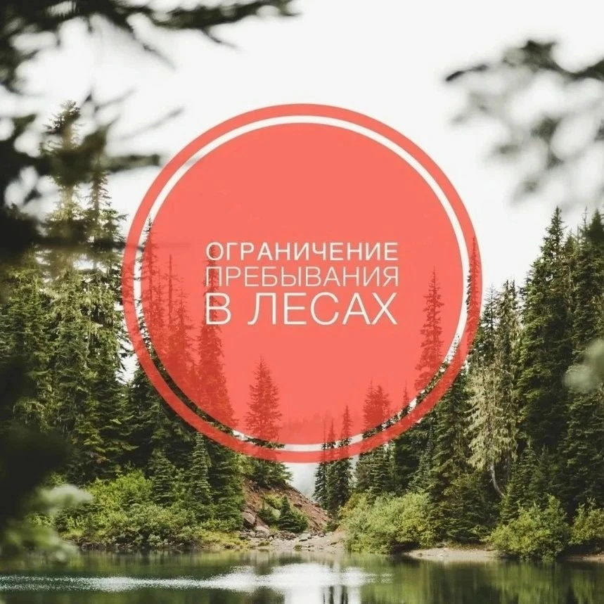В связи с повышением класса пожарной опасности в лесах и в целях предотвращения чрезвыч...