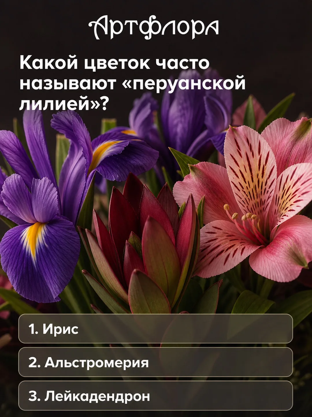 Друзья, сегодня знаменательная дата! 🗓️ Именинником дня является интеллектуальное шоу ...