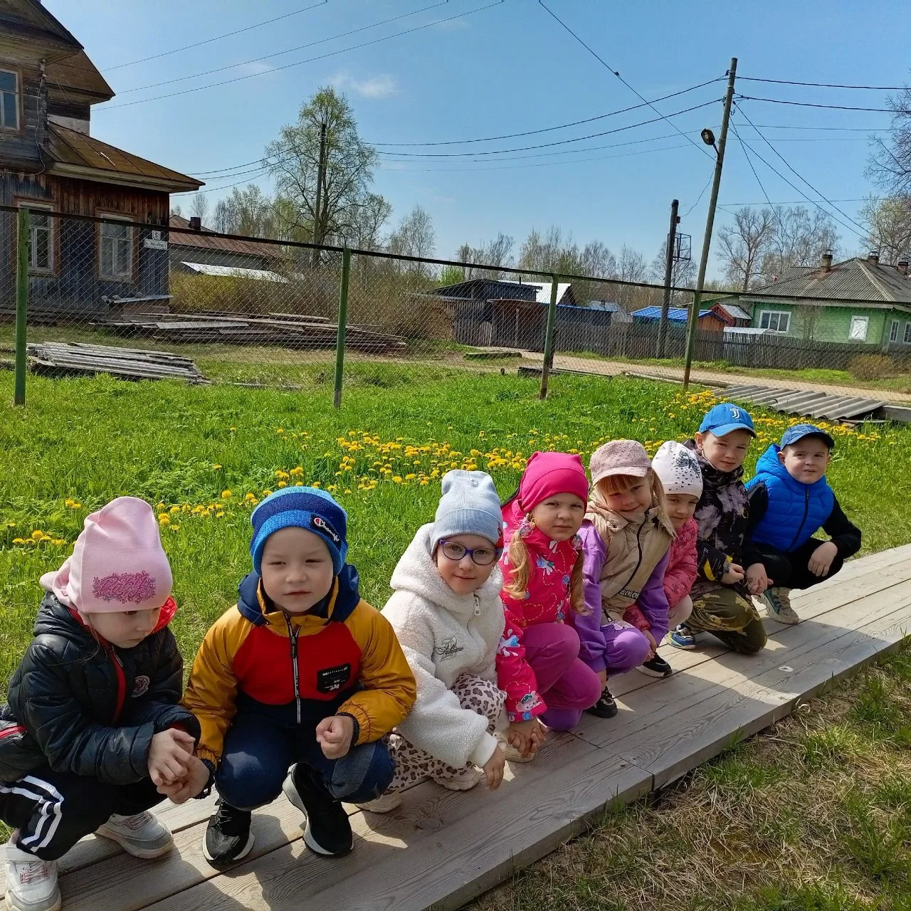 13 мая отмечается всемирный день одуванчика .