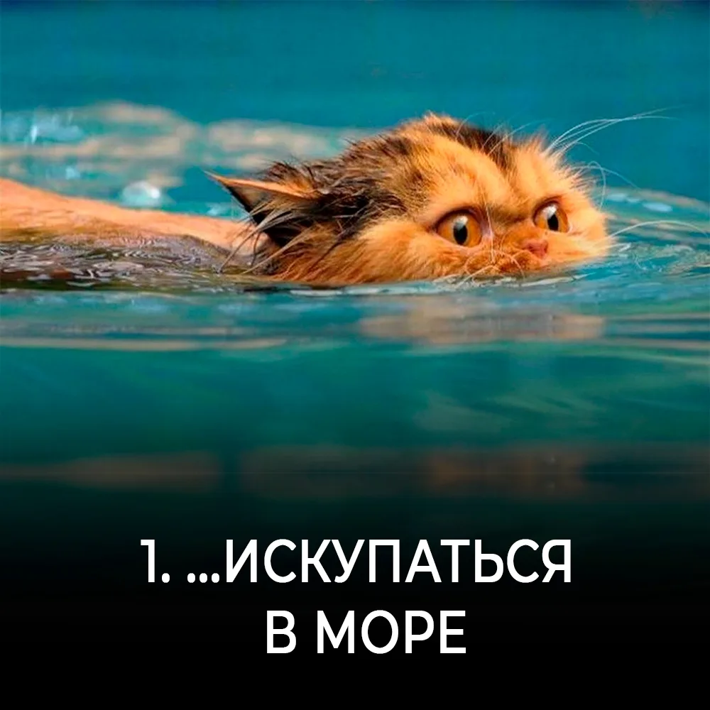 Привет, друзья! 💥

Как прошёл ваш первый месяц лета? Посмотрите на картинки и расскажите, что из эт