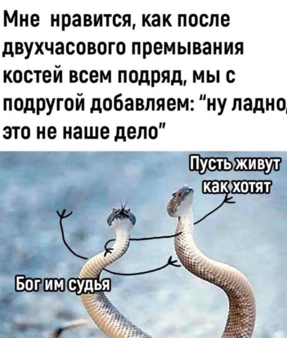 ☝🏻Как говорится в народной мудрости: мы не судим, но обсудим

🧂Соль | Юмор 👈 Не забудь подписатьс