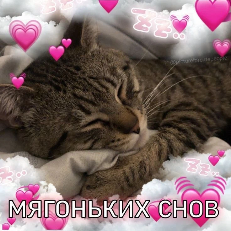 🌙 Доброй ночи!