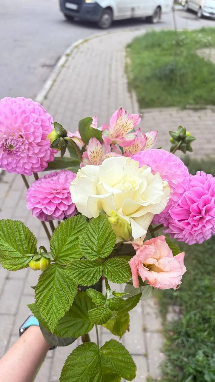 Дорогие родители, в этот день поздравляю всех с праздником 💕