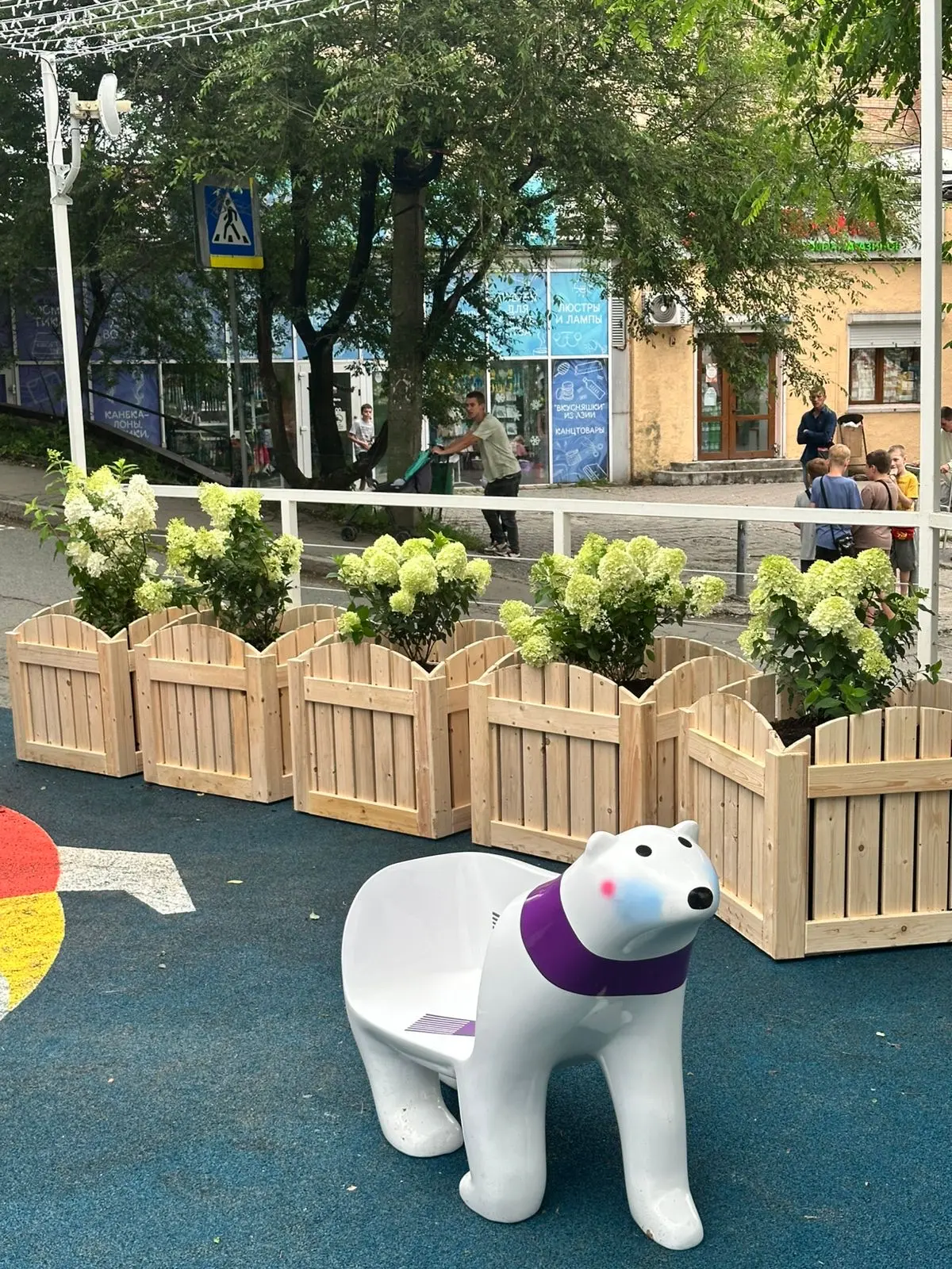 Пропал медведь.