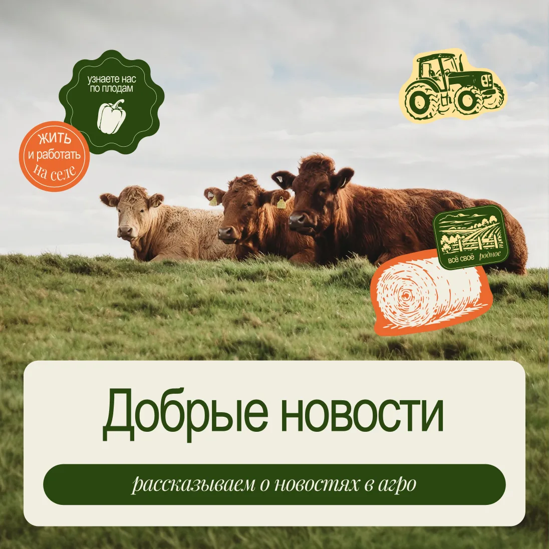 Добрые новости из агросферы💚