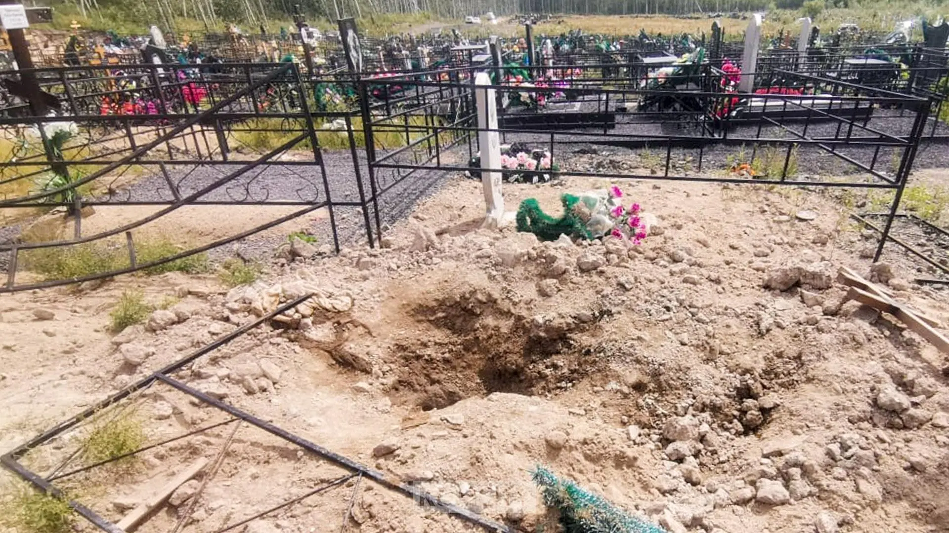 Медведи снова подкапывают могилы на городском кладбище