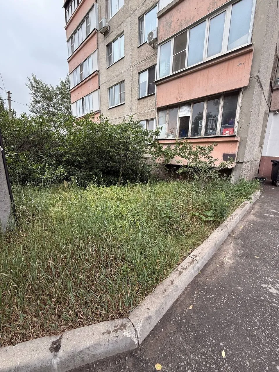 Добрый день! 
Ул. Дзержинская, дом 27. В том году у нас переодически косили на придомовой территории