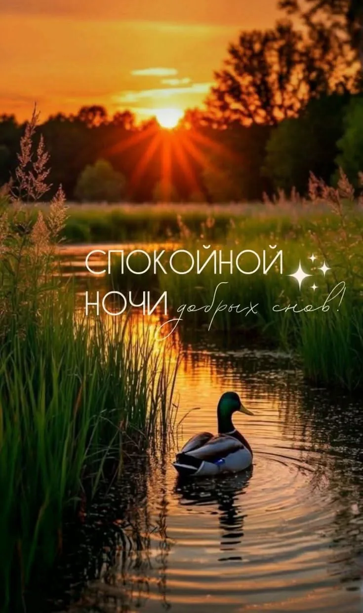 МОИ ОТКРЫТКИ 💌
ПОДПИСАТЬСЯ