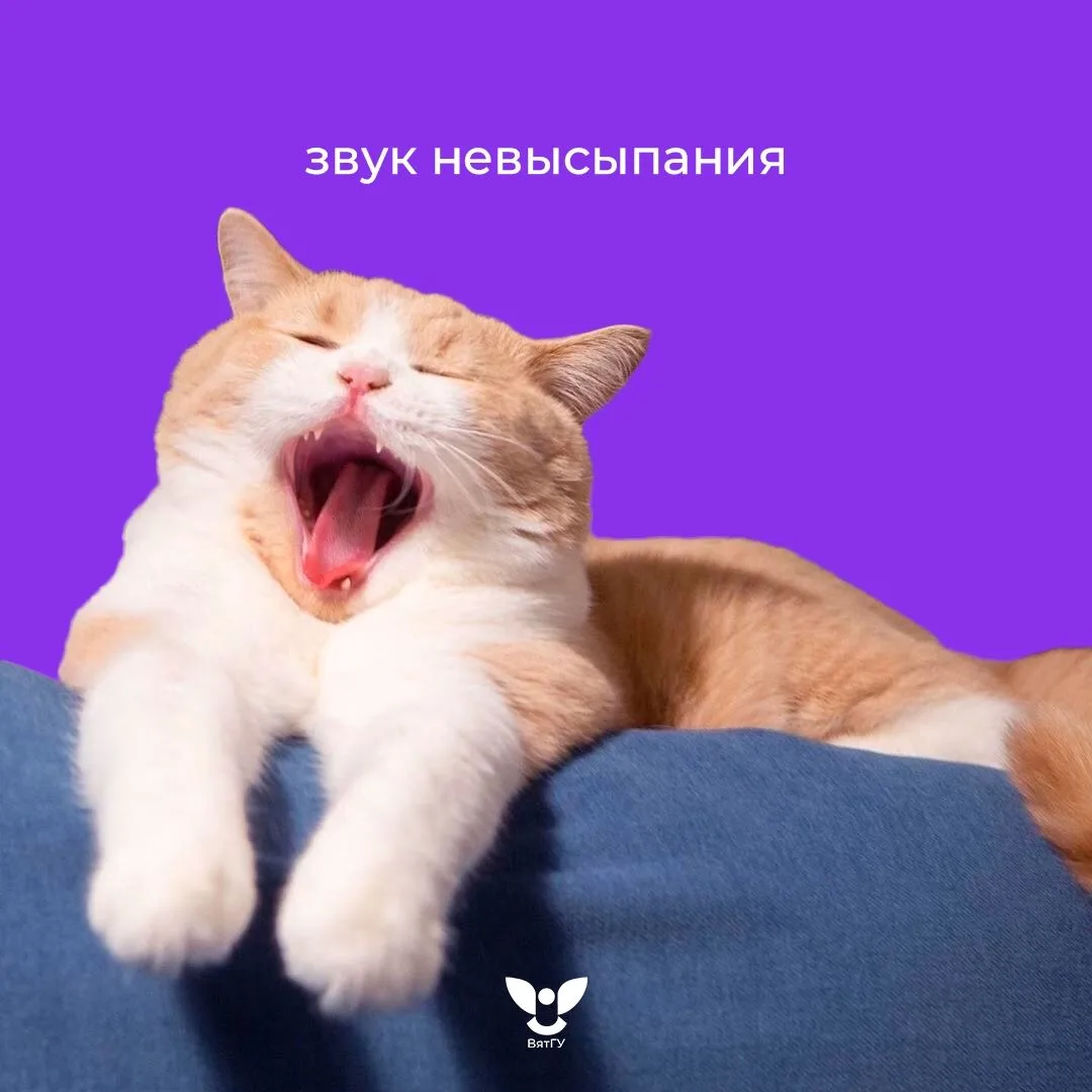 Надеемся, что за выходные вы выспались 😴