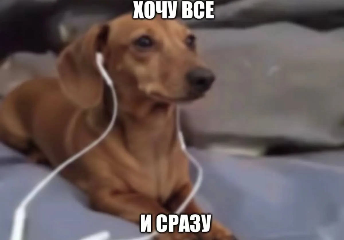 🪄День загадывания желаний отмечается сегодня 

Ты знаешь, что делать 

Мы в Макс