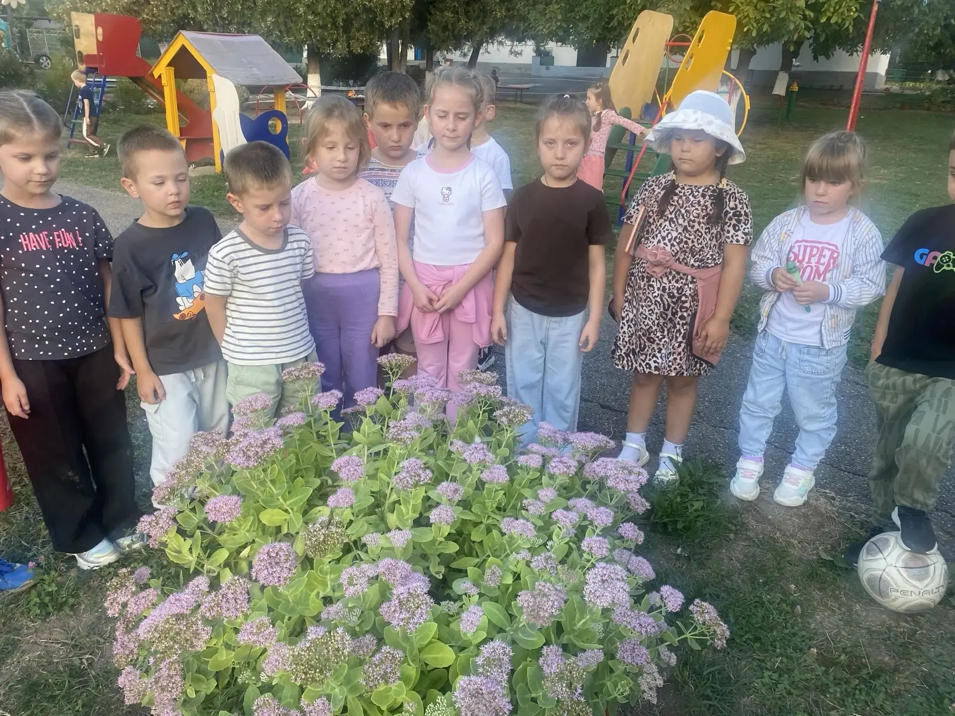 🌸 Мы проект свой открываем,