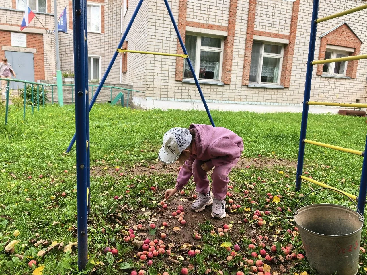 🍂Экологический субботник в нашем детском саду! 🗑️🧹🍁В сентябре природа щедро осыпает...