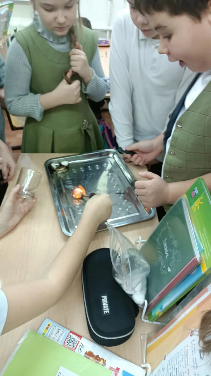 30 января ученики вторых - четвертых классов лицея N19 принимали гостей из Школы Изобретателей, откр