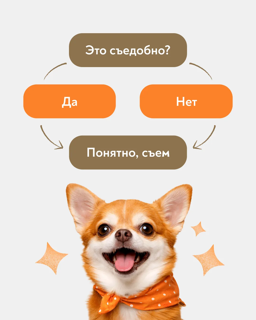 Логика любой собаки 🤪