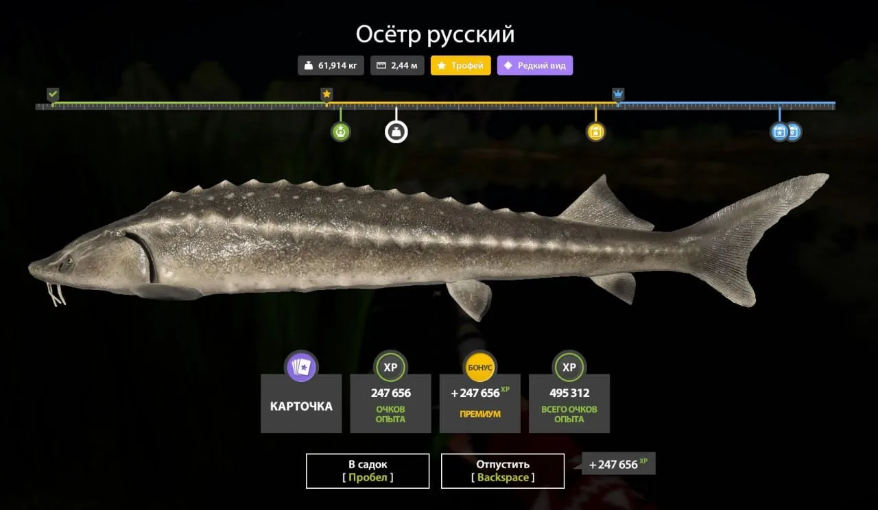 #ахтуба@RF4_Vkluchite_klev