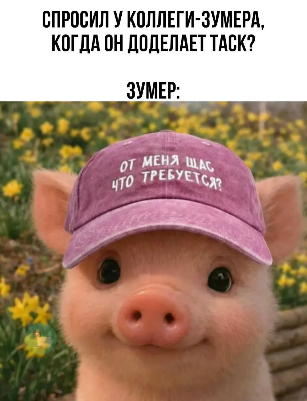 🦥 Ленивый вайб-программист